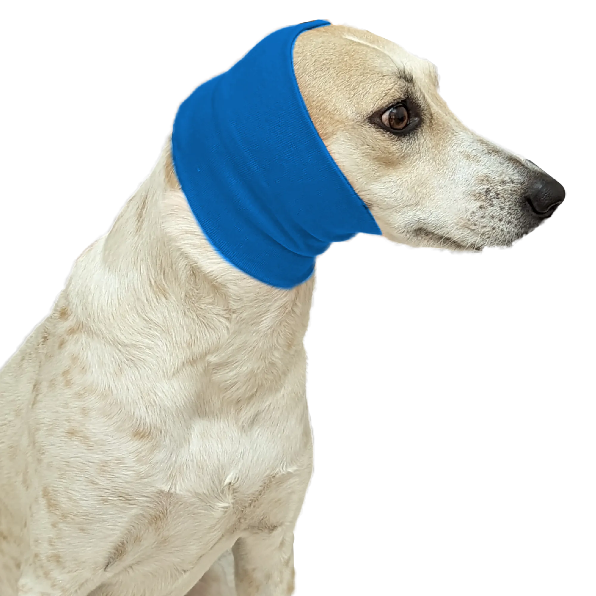 Blue Ear Muff For Cats & Dogs