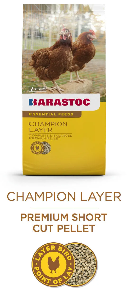 Champion Layer