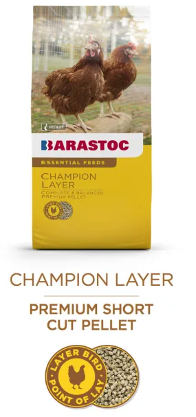 Champion Layer