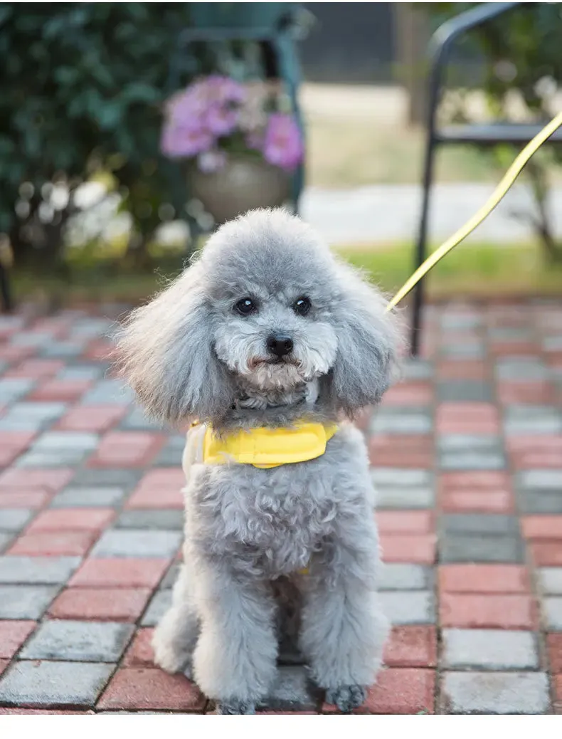 Cute Bee Vest Cats & Small Dog Leash