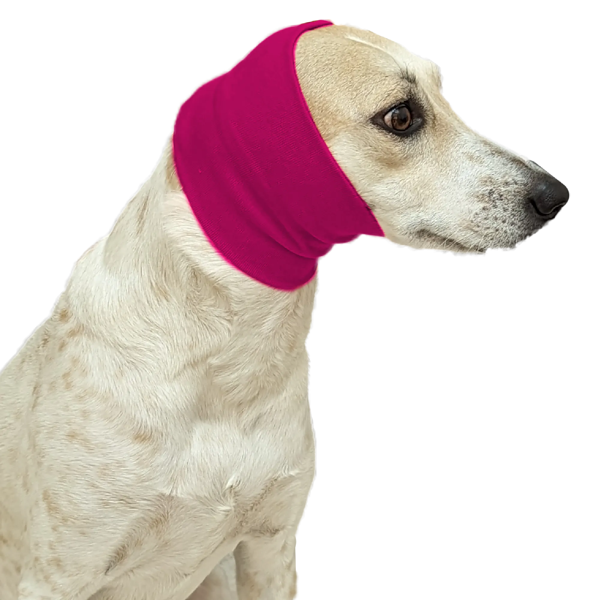 Hot Pink Ear Muff For Cats & Dogs