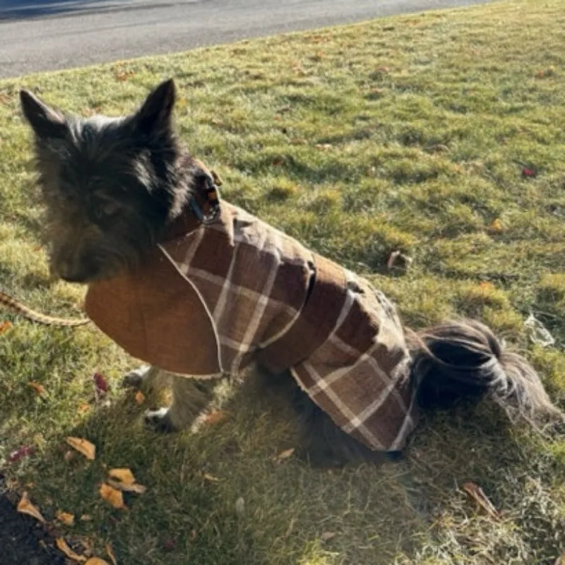 Plaid Hunting Lodge Large Dog Coat