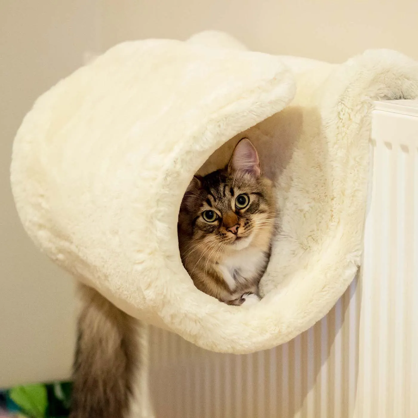 Rosewood Luxury Cat Tunnel