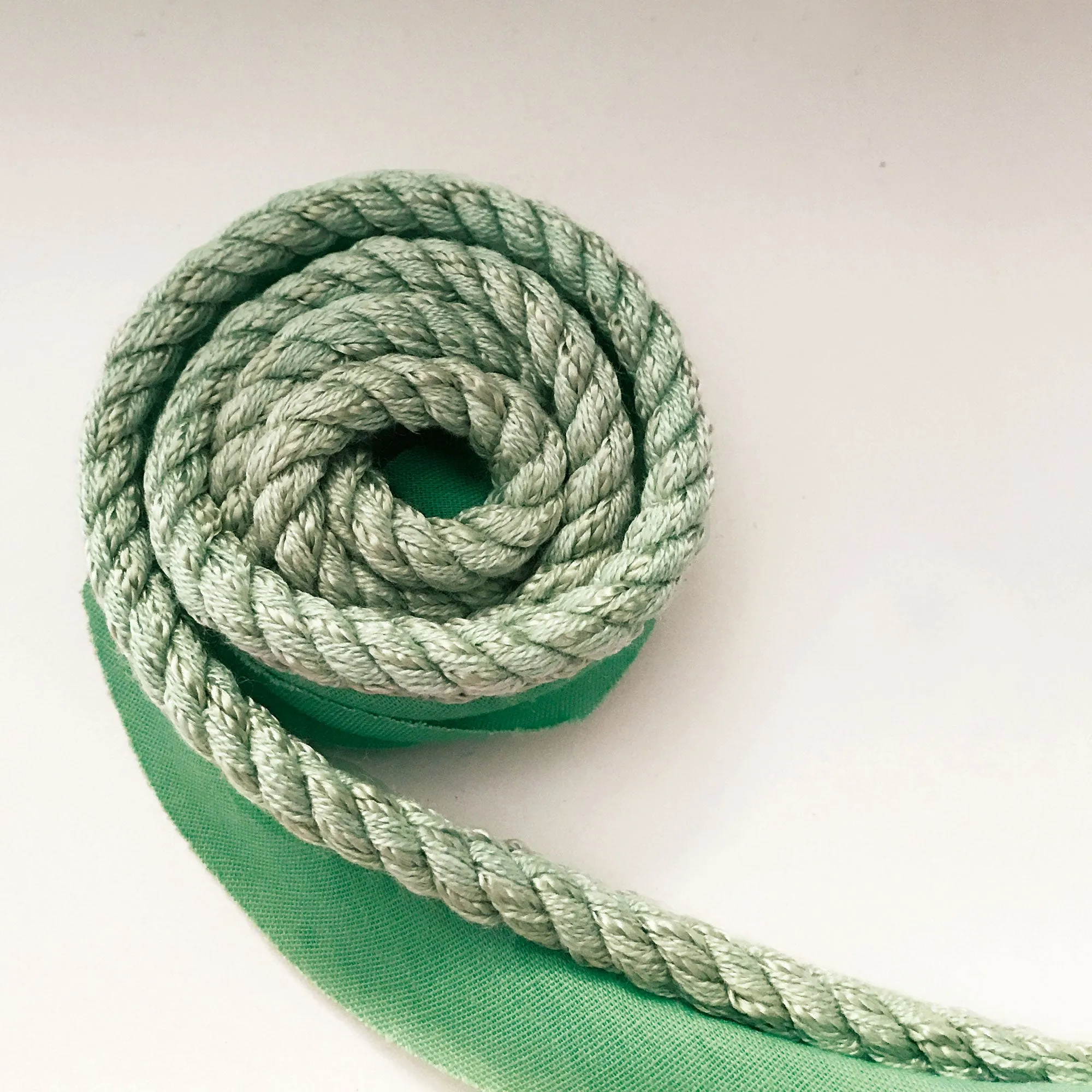 Sage High Quality Decorative Lip Cord Trim by the yard